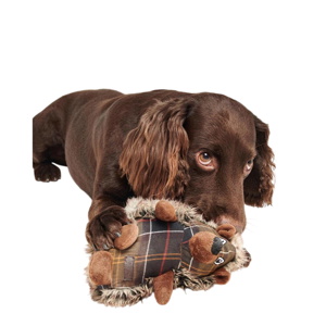 Barbour Hedgehog Dog Toy